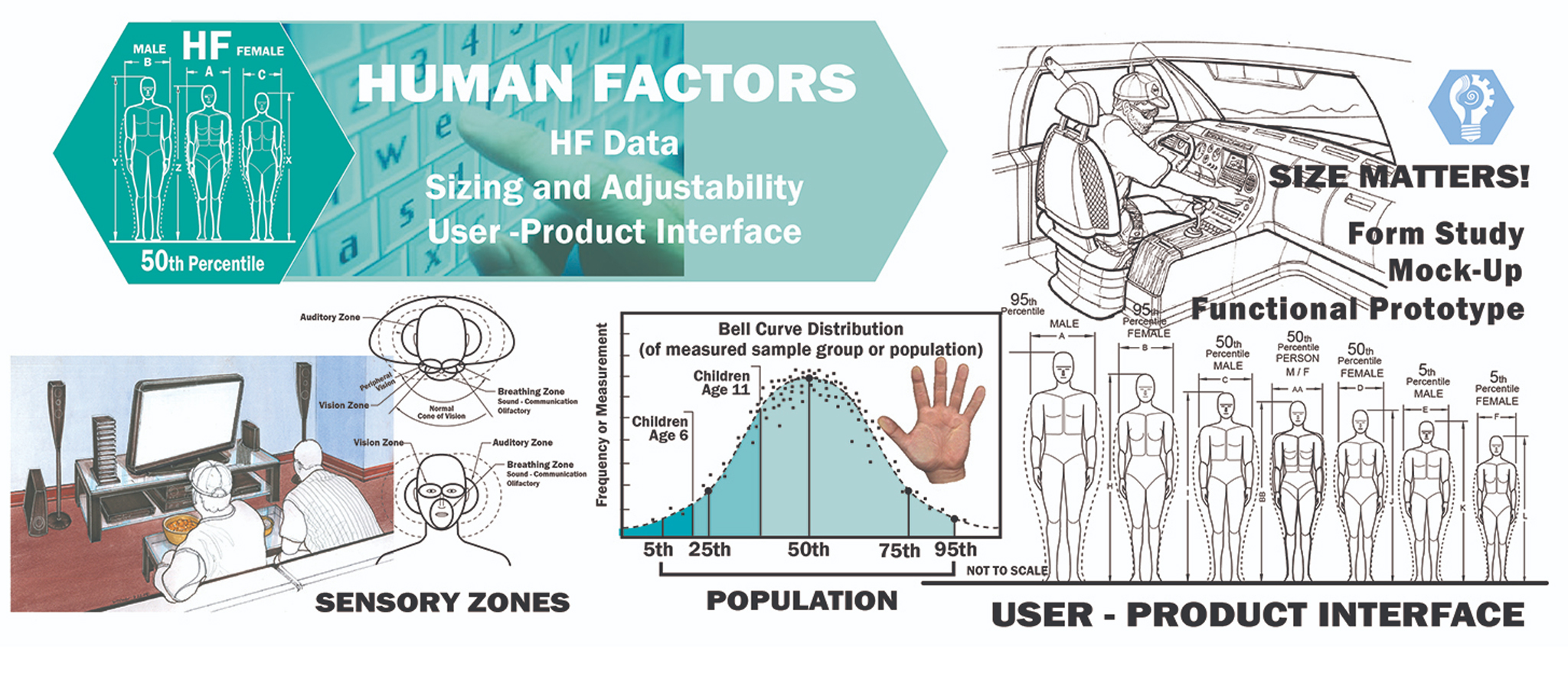 HF_Human-factors-Size_matters_antropometrics_product_development