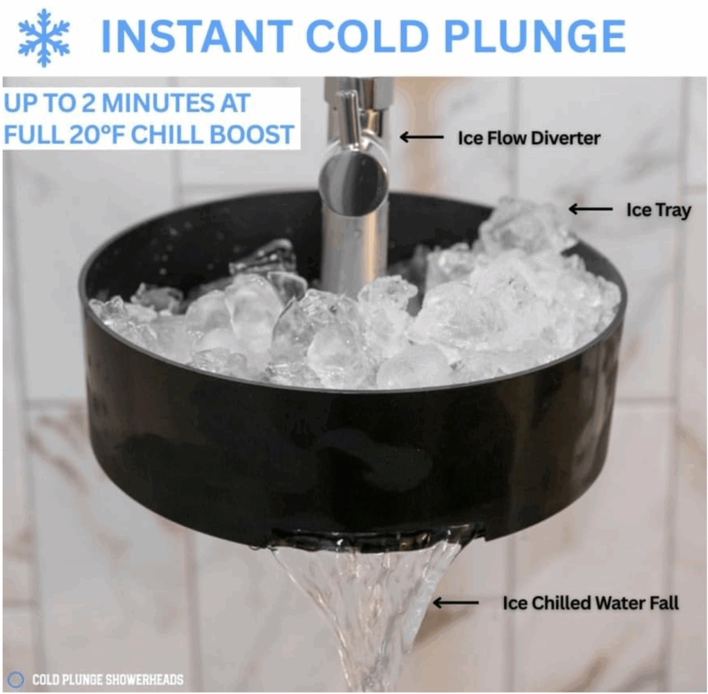 Cold_Plunge_Dual Showerhead